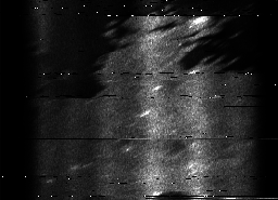 ascat_grayscale_ch5.png